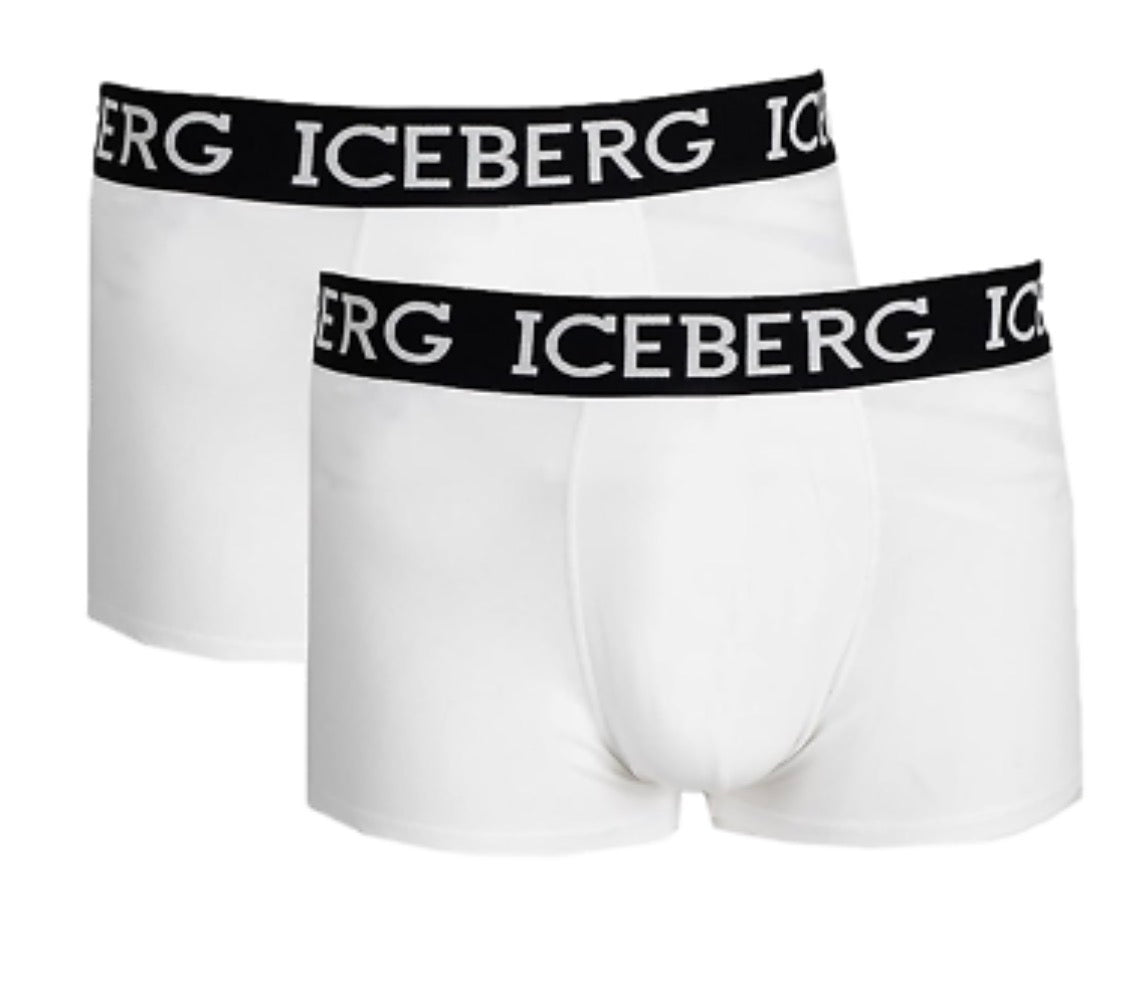 Set 2Boxer ICEBERG R02