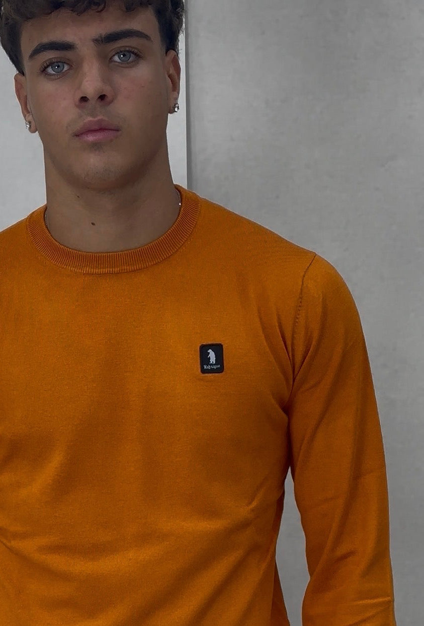 Pullover REGRIGUE 2811W00181