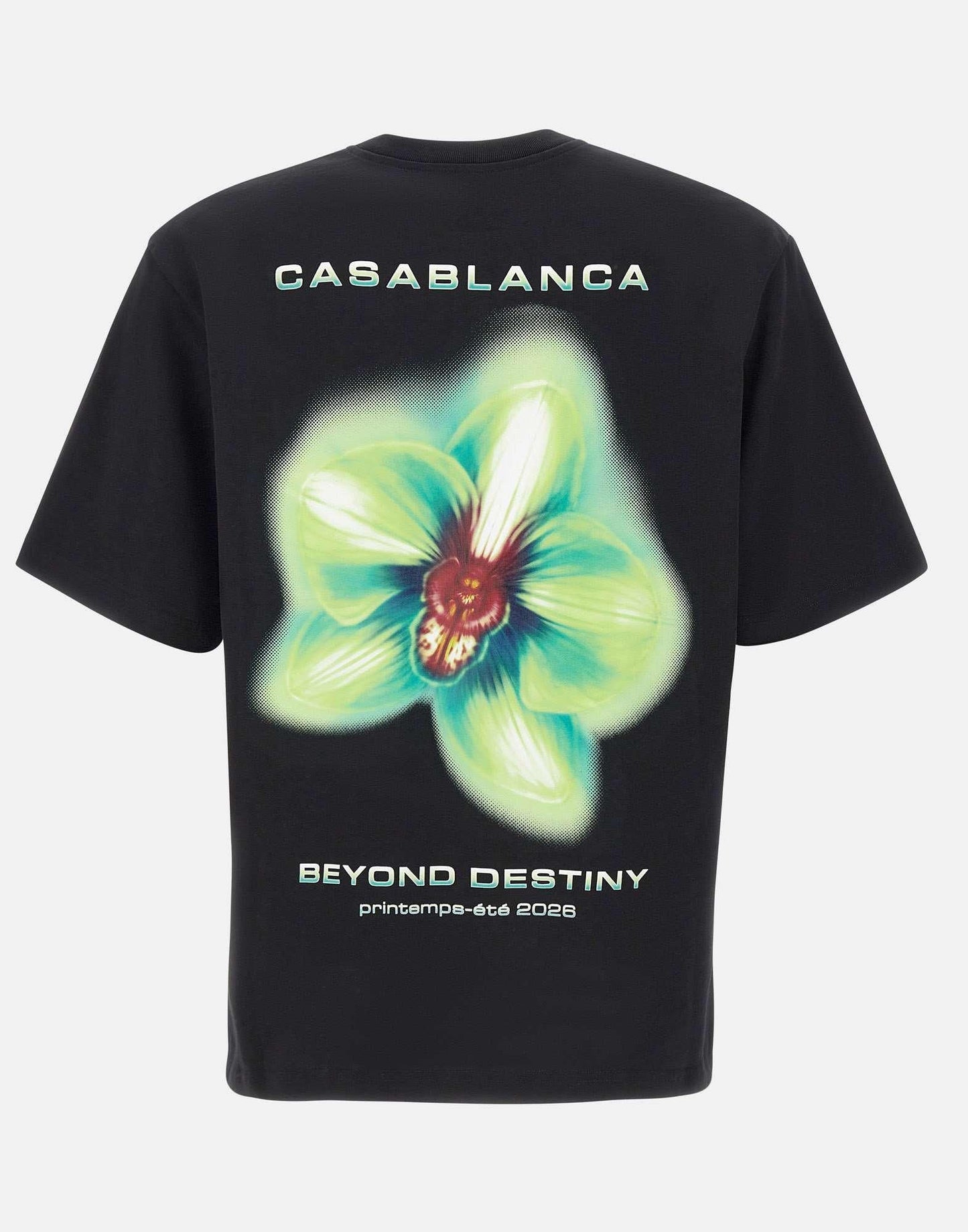 T shirt CASA BLANCA -MSP26JTS04406-