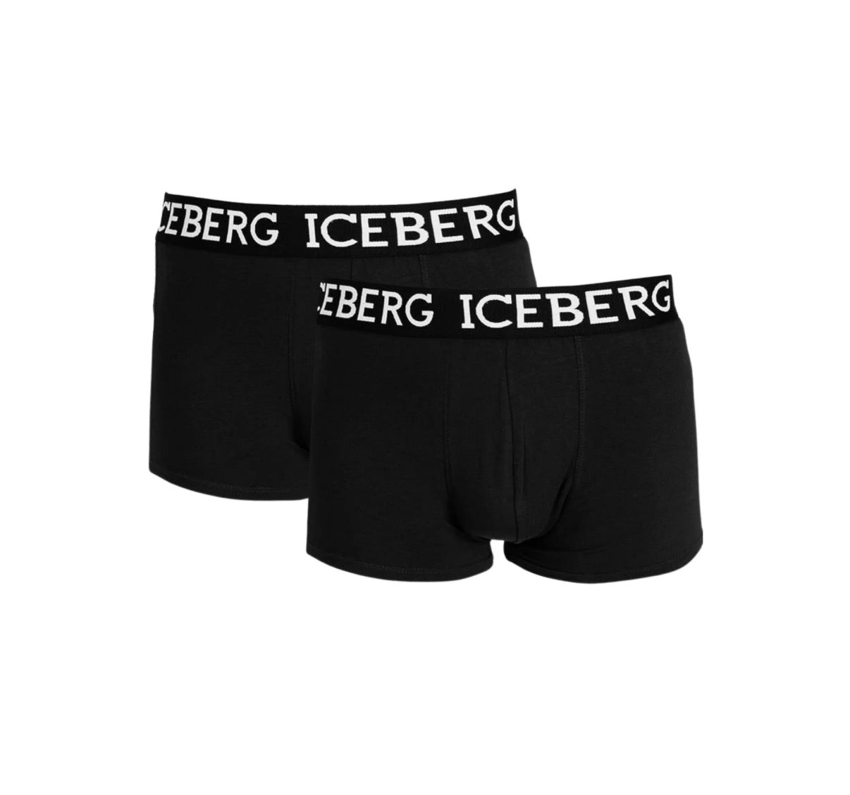 Set 2Boxer ICEBERG R02